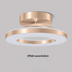 AuroraFlur: Modern Round LED Ceiling Light – Decorative & Durable for Hallway & Bedroom