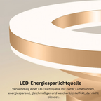 AuroraFlur: Modern Round LED Ceiling Light – Decorative & Durable for Hallway & Bedroom