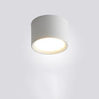 Contemporary Minimalist Cylinder LED Flush Mount Ceiling Light in Aluminum and Acrylic for Hallways