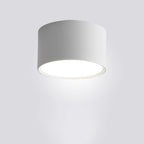 Contemporary Minimalist Cylinder LED Flush Mount Ceiling Light in Aluminum and Acrylic for Hallways