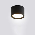 Contemporary Minimalist Cylinder LED Flush Mount Ceiling Light in Aluminum and Acrylic for Hallways