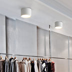 Contemporary Minimalist Cylinder LED Flush Mount Ceiling Light in Aluminum and Acrylic for Hallways