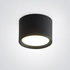 Contemporary Minimalist Cylinder LED Flush Mount Ceiling Light in Aluminum and Acrylic for Hallways