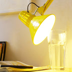 Modern Scandinavian Adjustable Swivel Round Iron Floor Lamp with 1 Light for Bedroom