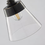 Baskin Clear Glass Farmhouse Pendant Light