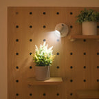 BeamLuxe: Wireless LED Wall Light – Dimmable Accent Lighting for Art & Decor