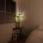 BeamLuxe: Wireless LED Wall Light – Dimmable Accent Lighting for Art & Decor