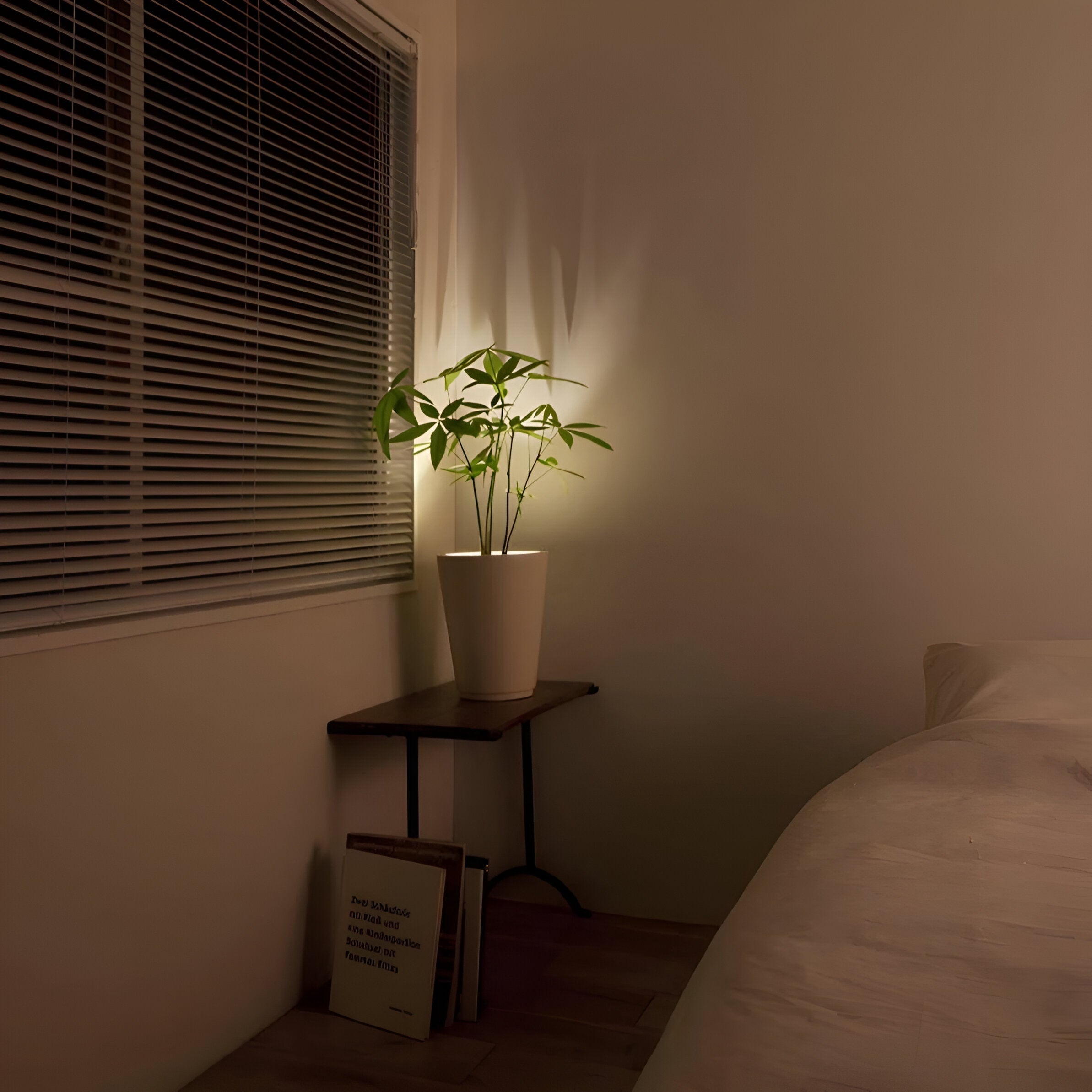 BeamLuxe: Wireless LED Wall Light – Dimmable Accent Lighting for Art & Decor
