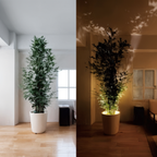 BeamLuxe: Wireless LED Wall Light – Dimmable Accent Lighting for Art & Decor
