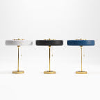 Revolve Iron & Acrylic Sculptural Table Lamp