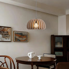 Birdcage Acoustic Felt Pendant Lamp