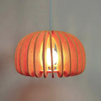 Birdcage Acoustic Felt Pendant Lamp