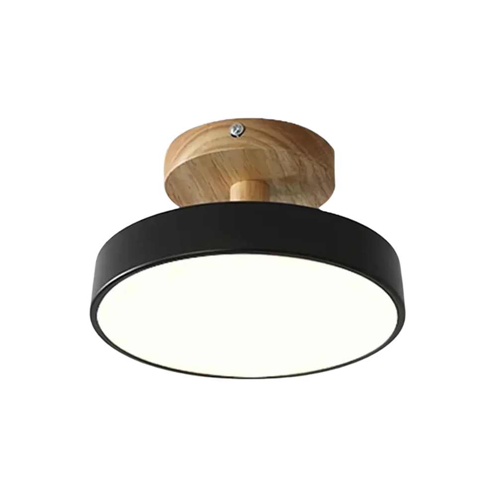 Soreia - Compact Modern LED Ceiling Light