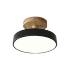 Soreia - Compact Modern LED Ceiling Light