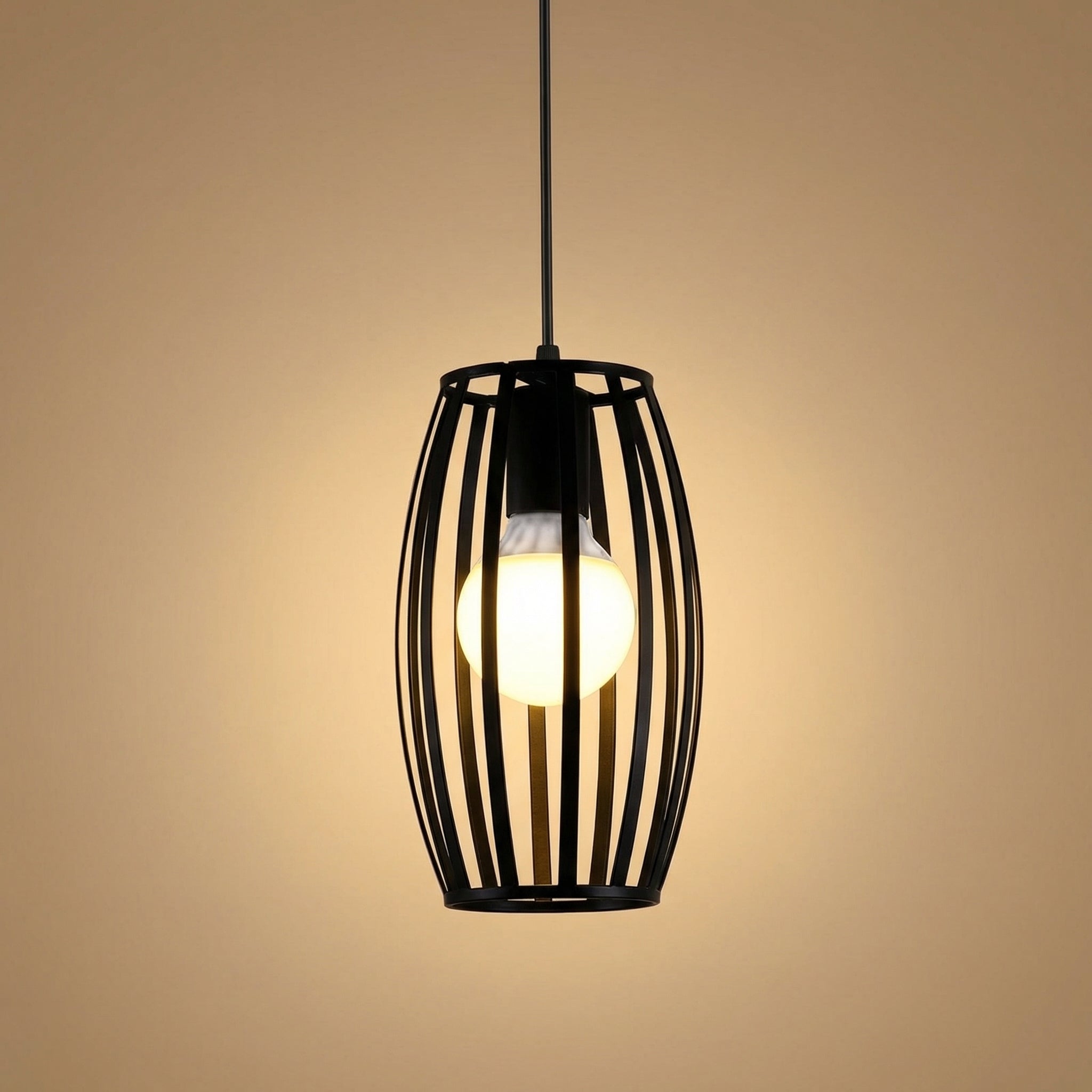 Pendant Light Iron Black Oval Cage Ceiling Mounted