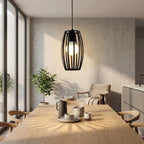 Pendant Light Iron Black Oval Cage Ceiling Mounted