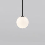 Minimalist Brass Globe Glass Pendant 1-Light