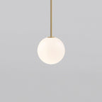 Minimalist Brass Globe Glass Pendant 1-Light