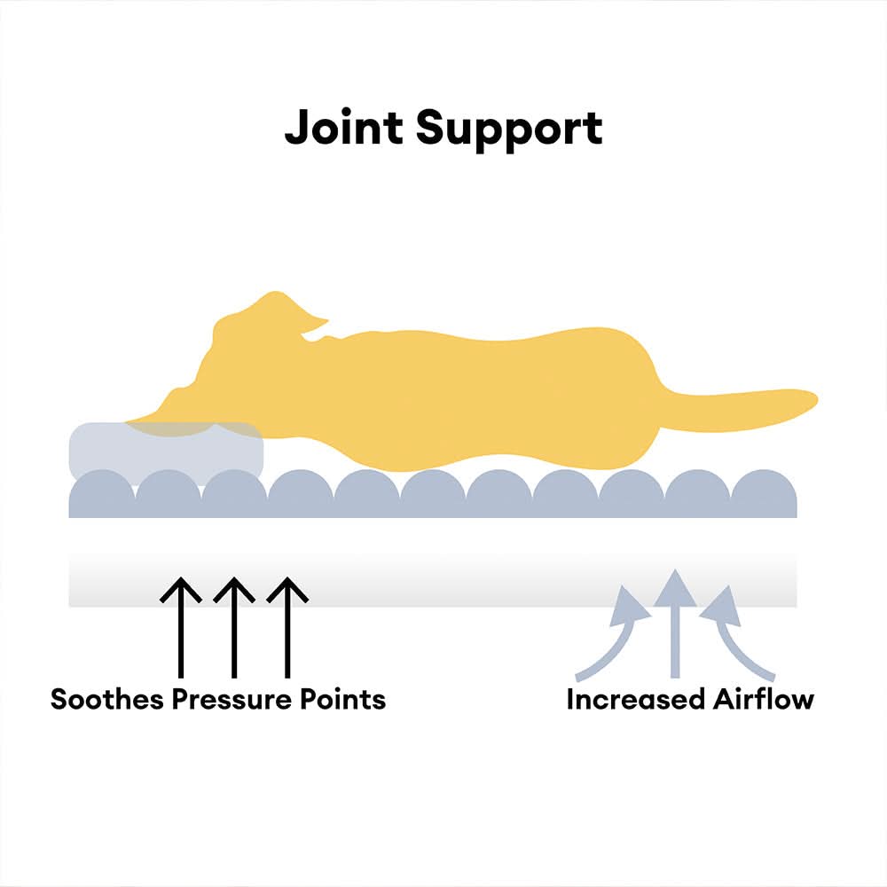 Bello Orthopedisch Hondenbed | Memory Foam, Wasbare Hoes
