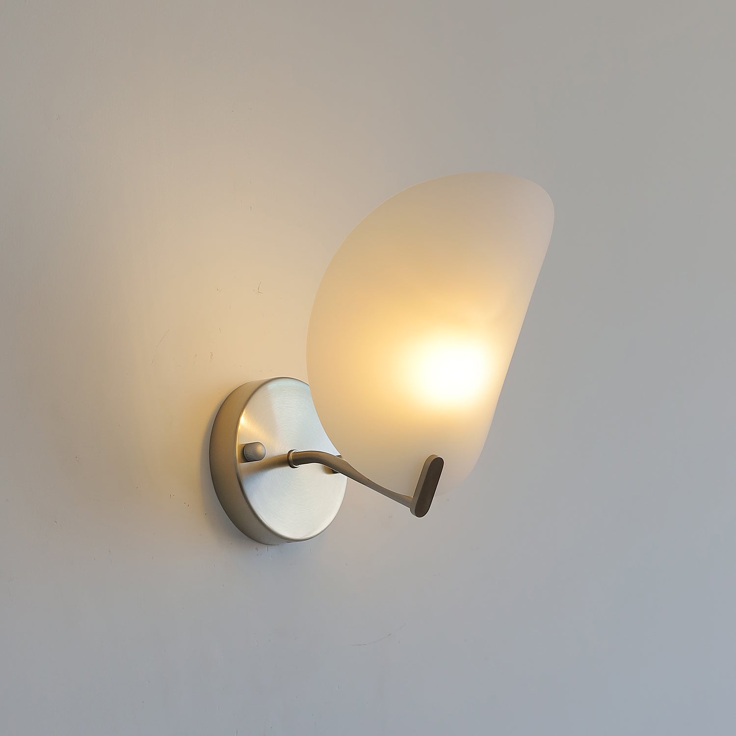 Calyum Frosted Acrylic Organic Wall Sconce