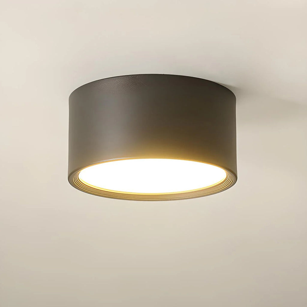 Ceiling Light LED Cylinder Flush Mount Metal Acrylic Shade