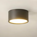 Ceiling Light LED Cylinder Flush Mount Metal Acrylic Shade