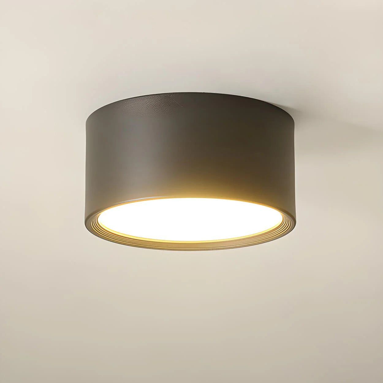 Ceiling Light LED Cylinder Flush Mount Metal Acrylic Shade