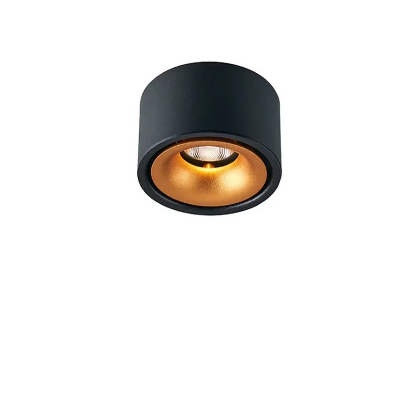 Ceiling Spotlight Adjustable Head Matte Aluminum Integrated LED