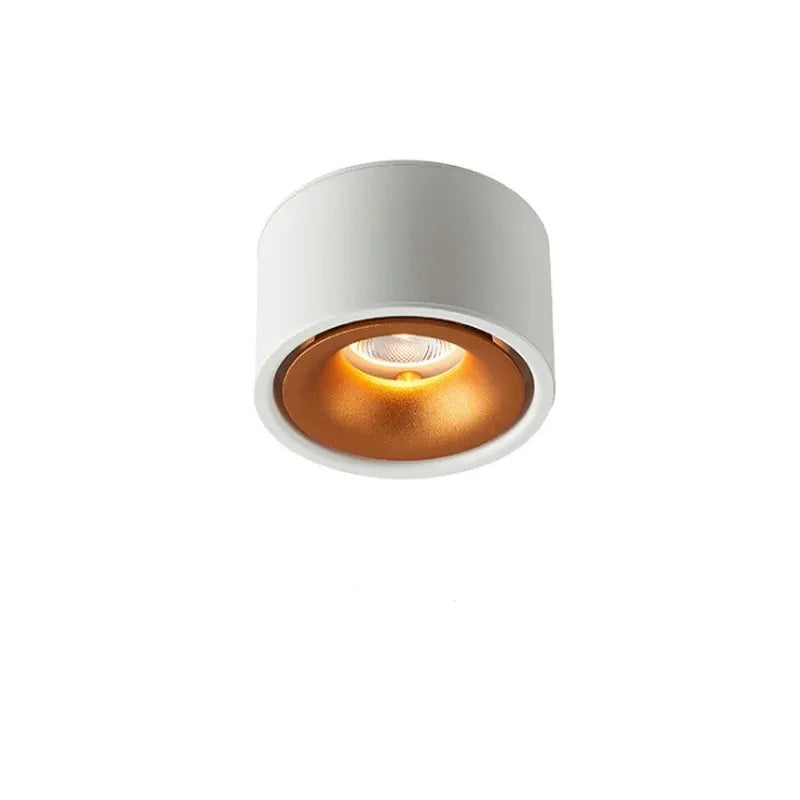 Ceiling Spotlight Adjustable Head Matte Aluminum Integrated LED