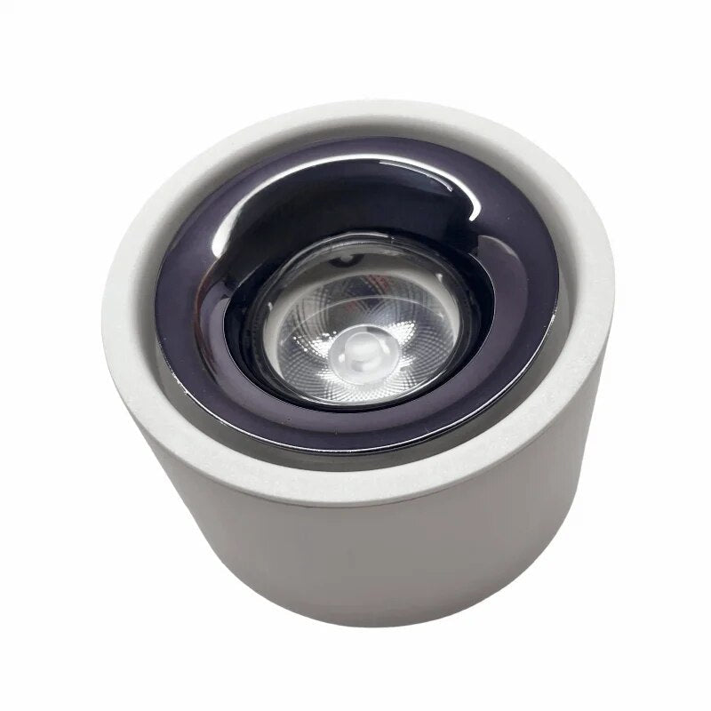 Ceiling Spotlight Adjustable Head Matte Aluminum Integrated LED
