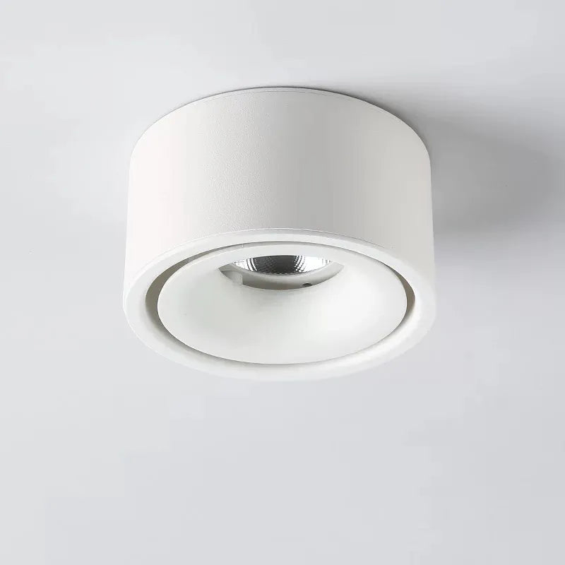 Ceiling Spotlight Adjustable Head Matte Aluminum Integrated LED