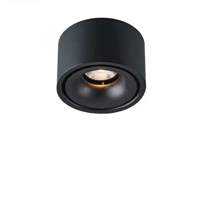 Ceiling Spotlight Adjustable Head Matte Aluminum Integrated LED