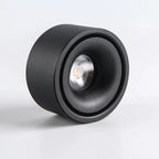 Ceiling Spotlight Adjustable Head Matte Aluminum Integrated LED