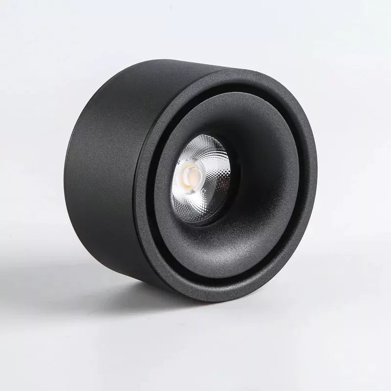 Ceiling Spotlight Adjustable Head Matte Aluminum Integrated LED