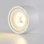 Ceiling Spotlight Adjustable Head Matte Aluminum Integrated LED