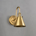 Cellmn Gooseneck Cone Wall Sconce (Brass or Black)