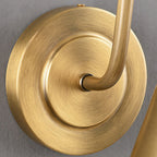 Cellmn Gooseneck Cone Wall Sconce (Brass or Black)