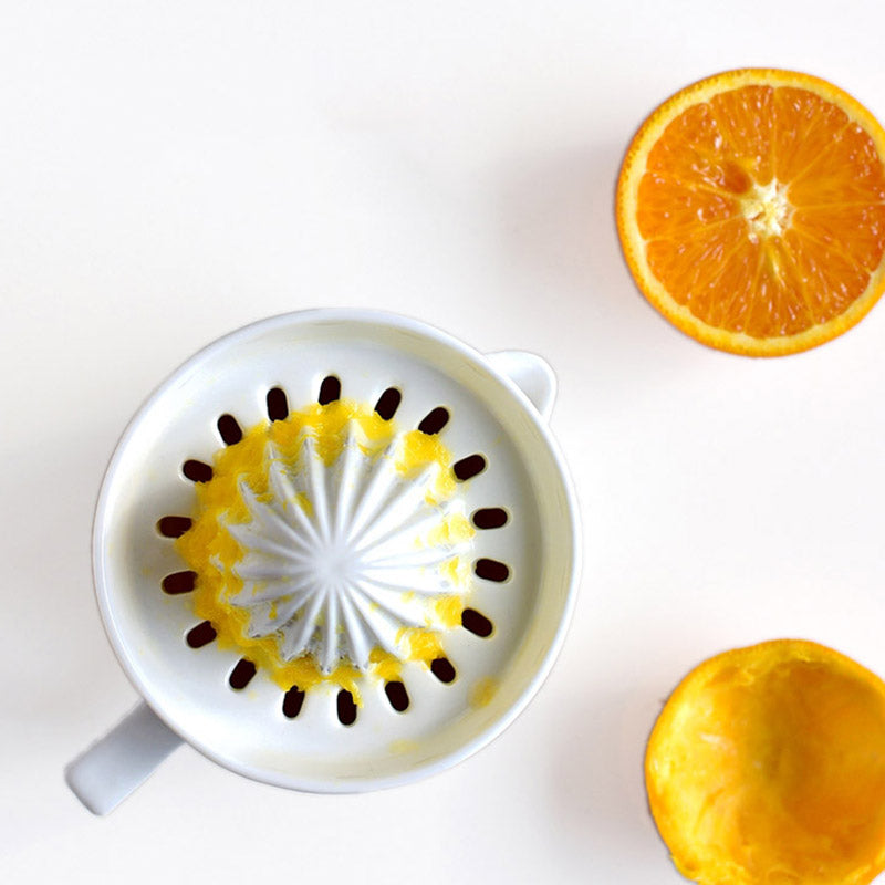Manual Citrus Juicer Ergonomic Press Twist Dishwasher Safe