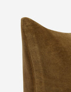 Bela Velvet Pillow | Luxurious Texture, Elegant Finish
