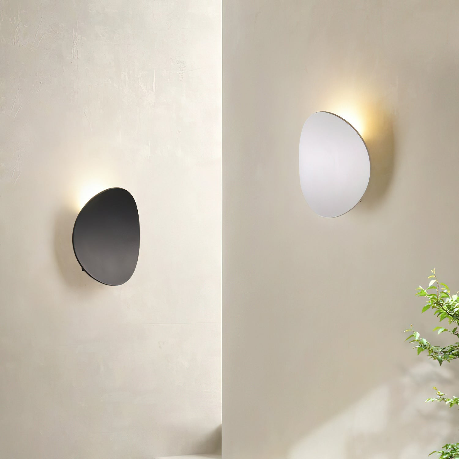 Citra Round Integrated LED Wall Light