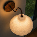 Clementine Gooseneck Wall Sconce