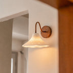 Clementine Gooseneck Wall Sconce