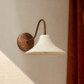Clementine Gooseneck Wall Sconce
