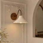 Clementine Gooseneck Wall Sconce