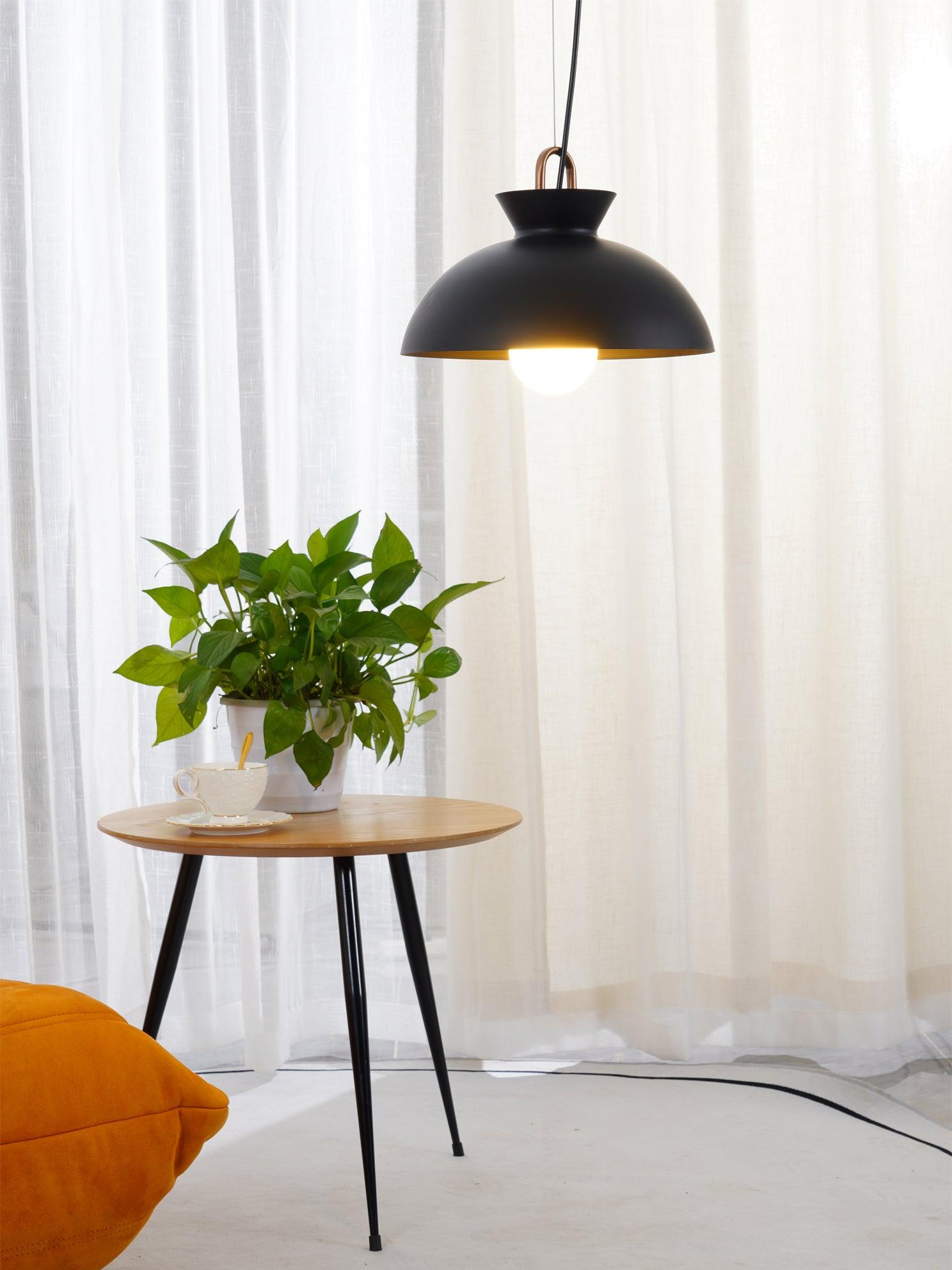 Coil Retro Metal Pendant Light