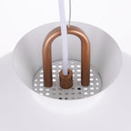 Coil Retro Metal Pendant Light
