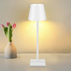 Cordless Rechargeable LED Accent Table Lamp