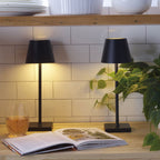 Cordless Rechargeable LED Accent Table Lamp