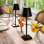 Cordless Rechargeable LED Accent Table Lamp