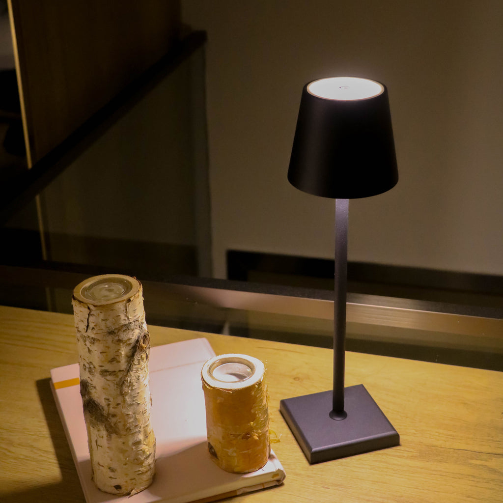 Cordless Rechargeable LED Accent Table Lamp